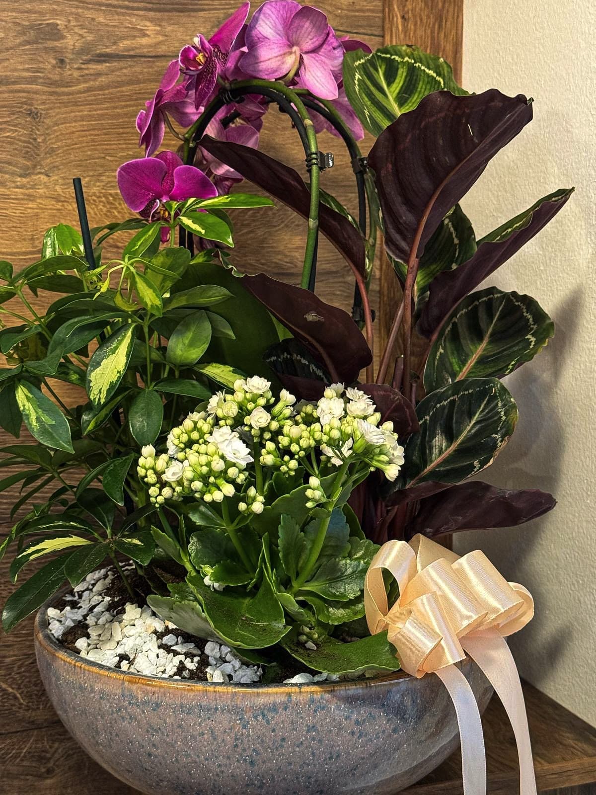 Aranjament floral elegant în vas ceramic, cu orhidee mov, kalanchoe alb, plante decorative cu frunze verzi și bordo și fundiță satinată champagne, ideal pentru cadou și decor interior.