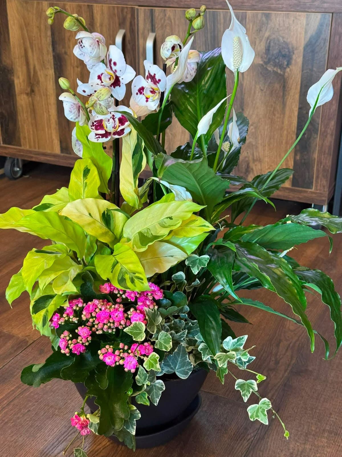 Aranjament floral cu orhidee Phalaenopsis, crinul păcii, plante decorative cu frunze verzi și galbene, kalanchoe roz și iederă, într-un ghiveci elegant. Cadou floral deosebit pentru aniversări, ocazii speciale sau decor interior, disponibil la comandă în Zalău.